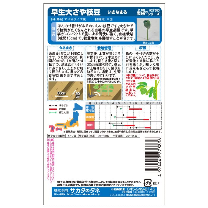 Amazon | サカタのタネ 実咲野菜7383 エダマメ 早生大さや枝豆 いきな